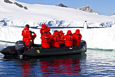 Lindblad Expeditions guests with a lone adult emperor penguin (Aptenodytes forsteri) on sea ice in the Gullet between Adelaide Island and the Antarctic Peninsula, Antarctica.