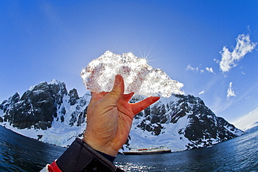 Ice held up to the sun near the Antarctic Peninsula during the summer months, Southern Ocean