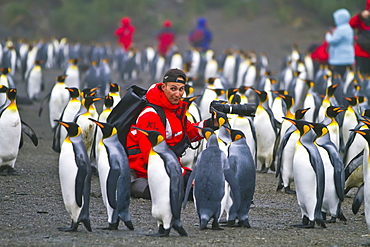 Staff from the Lindblad Expedition ship National Geographic Explorer (shown here is Justin Hofman) working on South Georgia