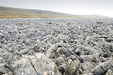 Views of the famous stone runs just outside Stanley, the capital and only true city (with a cathedral) in the Falkland Islands, South Atlantic Ocean