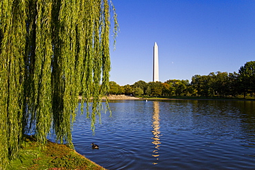 Views of the Washington Monument in Washington, D.C., USA