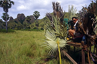 Cameraman, Mike Pitts, on Komodo Island in hide waiting to film Komodo dragons.