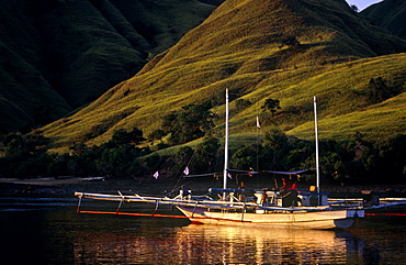 Squid fishing boat.   