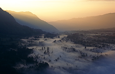 Edge of Caldera crater on Mount Bromo. Java