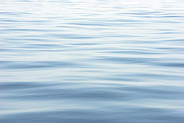 Abstract detail of calm sea surface, Isle of Mull, Western Scotland   (RR)