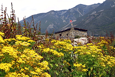 Traditional Building and flowers. Mountains. Himalayas, Tibet.