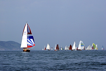 Yachts. Classic Boats, Sailing River Dart, Dartmouth, Devon.