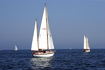 Yachts. Classic Boats, Sailing River Dart, Dartmouth, Devon.