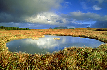 blanket bogs pool in flow country october 2001. altnaharra, sutherland, scotland