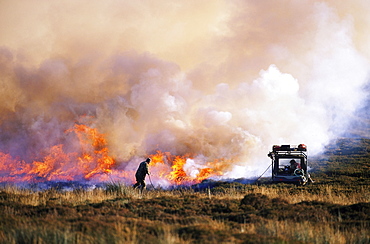 upland management