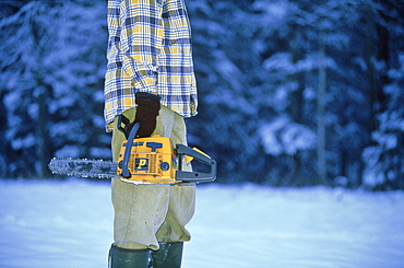 Estonian forestry, cutter with chainsaw, Tartumaa, Estonia