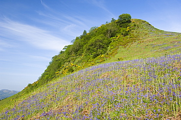 Dunmore Fort, near Callander, Stirlingshire, Scotland