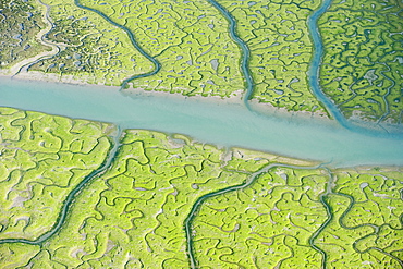 Aerial view of saltmarsh at low tide near Cadiz, Spain