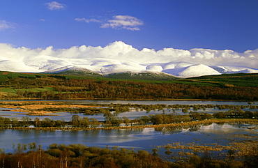 scottish wetlands: insh marshes near kingussie strathspey, scotland