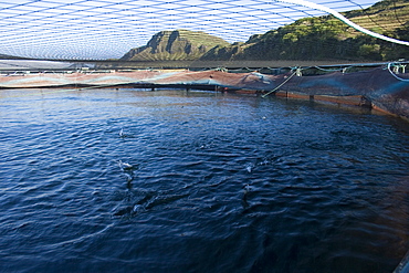 Salmon fish farm.  Hebrides, Scotland.