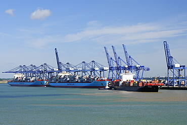 Container ships and loading derricks at Felixstowe Docks, Suffolk, England, United Kingdom, Europe