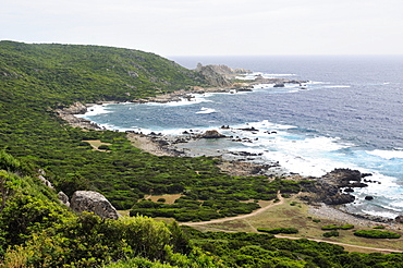 Rocky granitic coastline on a stormy day fringed by coastal maquis scrub, Campomoro Point, near Propriano, Corsica, France.