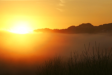 Glen Nant with sun setting over low lying cloud. Argyll, Scotland