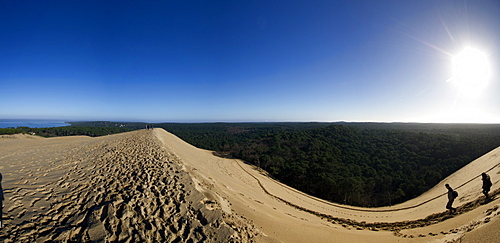 Pilat Dune in Test-de-Buch, at 110 m high, the highest sand dune in Europe, Nouvelle Aquitaine, France, Europe