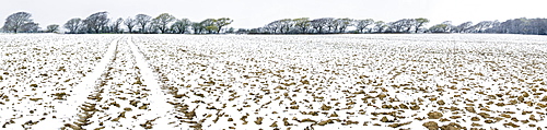 Light dusting of snow on ploughed field, West Sussex, England, United Kingdom, Europe