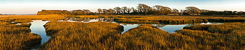 The image of the world is represented in the shape of the creek weaving around the marshy edges of Chichester Harbour, West Sussex, England, United Kingdom, Europe