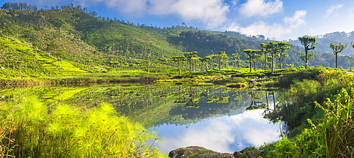 Lake at Haputale, Nuwara Eliya District, Sri Lanka Hill Country, Sri Lanka, Asia 