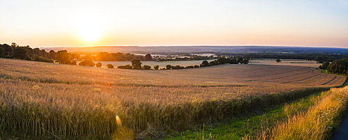 Sunset over fields just outside Guildford, Surrey, England, United Kingdom, Europe 