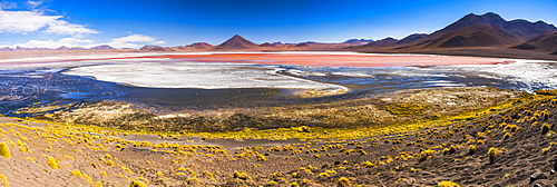 Laguna Colorada (Red Lagoon), a salt lake in the Altiplano of Bolivia in Eduardo Avaroa Andean Fauna National Reserve, Bolivia, South America