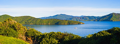 Speed boat in Queen Charlotte Sound, Picton, Marlborough Region, South Island, New Zealand, Pacific 