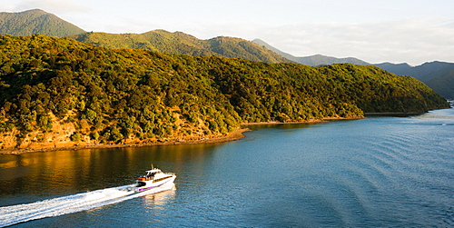 Speed boat in Queen Charlotte Sound, Picton, Marlborough Region, South Island, New Zealand, Pacific 