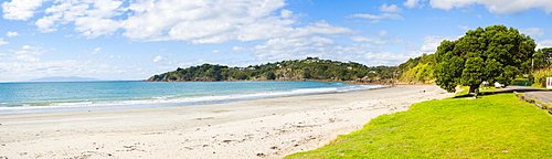 Oneroa Beach, Waiheke Island, Auckland, North Island, New Zealand, Pacific 