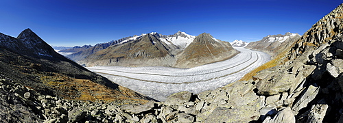 Panorama of glacier Grosser Aletschgletscher with Aletschhorn, Moench, Eiger, Wannenhorn, from Eggishorn, UNESCO World Heritage Site Swiss Alps Jungfrau - Aletsch, Bernese Alps, Valais, Switzerland, Europe