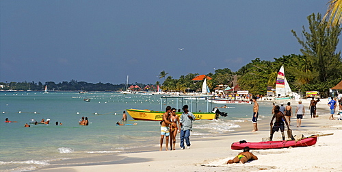 Jamaica Negril beach palm tree