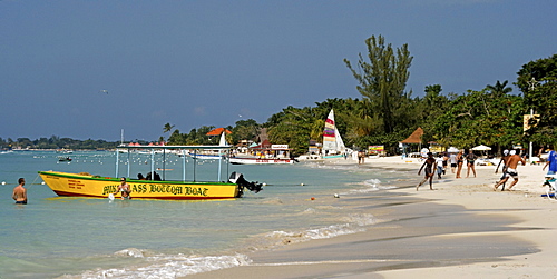 Jamaica Negril beach palm tree