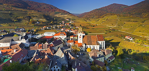 The village Spitz an der Donau in front of vineyards, Wachau, Lower Austria, Austria, Europe