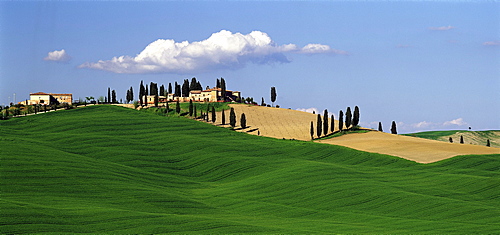 Country homes on Crete, b. Taverne dÂ¥ Â¡rbia, Tuscany, Italy