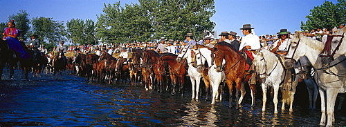 Pilgrims on horseback standing in the river, Andalusia, Spain