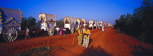 Pilgrims travelling afoot and with oxcarts on a sandy road, Andalusia, Spain