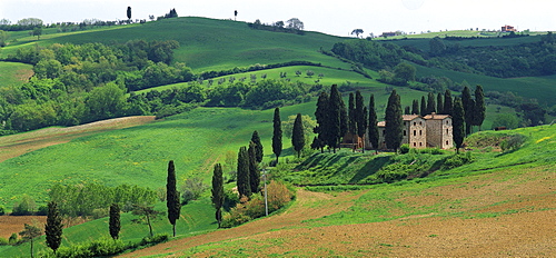 Country house and cypresses near Bei Torrita di Siena Tuscany, Tuscany, Italy