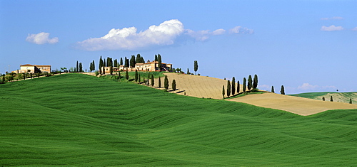 Landscape with cypresses and farmhouse, Crete, south of Siena, Tuskany, Italy