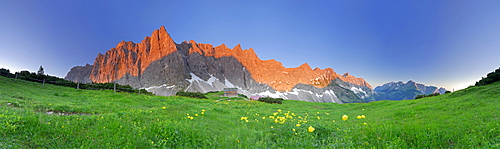 panorama of Karwendel range obove mountain lodge Falkenhuette, globeflowers in foreground, Karwendel range, Tyrol, Austria