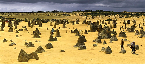 The Pinnacles near Perth, West Australia, Australia