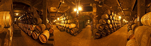 cellar, Bodega R Lopez de Heredia, Vina Tondonia, winery, Camino Vasco del interior, Way of Saint James, Camino de Santiago, pilgrims way, La Rioja, Northern Spain, Spain, Europe