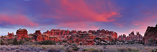 Panorama of rock spires in Chesler Park in the evening, Needles Area, Canyonlands National Park, Moab, Utah, Southwest, USA, America