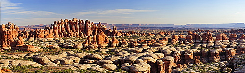 Panorama of rock spires in Chesler Park, Needles Area, Canyonlands National Park, Moab, Utah, Southwest, USA, America