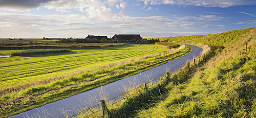 Dyke at Hattstedtermarsch near Husum, Schleswig-Holstein, Germany