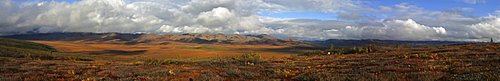 Hiker on the Arctic Circle along the Dempster Highway, Yukon