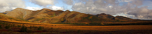 The Richardson Mountains at the Arctic circle in fall colours, Demspter Highway, Yukon