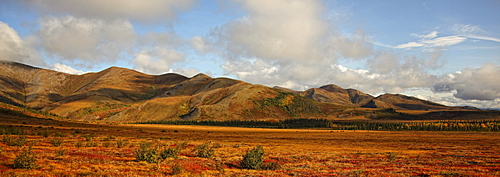 Panoramic view of the The Richardson Mountains at the Arctic circle in fall, Demspter Highway, Yukon