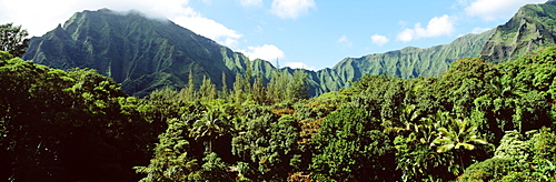 Hawaii, Oahu, Koolau Mountains, Haiku Gardens in foreground.